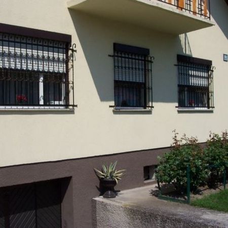 4. Schmiedeeisenfenstergitter